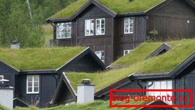 Будинки з рослинними дахами в Альпах