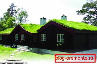 Фарбування за допомогою фарбопульта