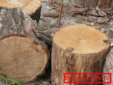 Береговий вид деревини Береговий вид деревини