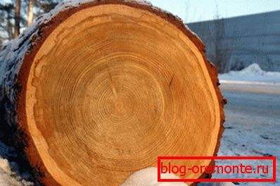 Боровая древесина Боровая древесина