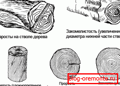 Пороки і дефекти деревини Пороки і дефекти деревини