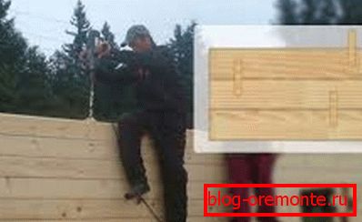 Принцип організації з'єднання вінців між собою Принцип організації з'єднання вінців між собою