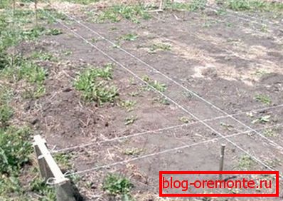 розмітка майданчика розмітка майданчика