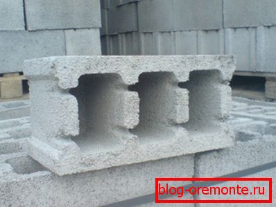 Зовнішній вигляд типового шлакоблоку Зовнішній вигляд типового шлакоблоку